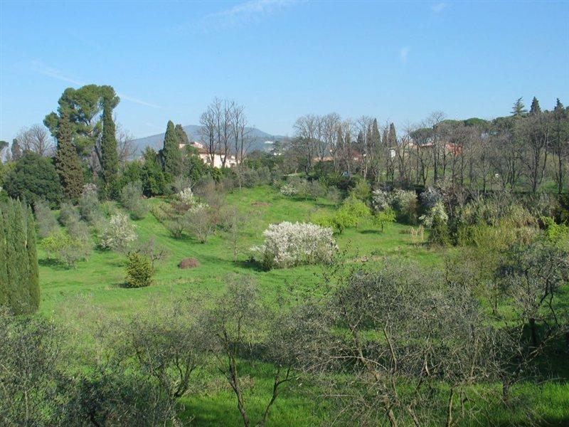 Villa Ulivi フィレンツェ エクステリア 写真